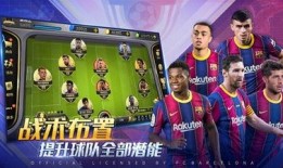 爆料足球平台下载最新版,爆料足球平台最新版下载，尽享极致观赛体验！