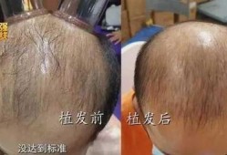 岑先生爆料最新,揭秘娱乐圈最新劲爆事件