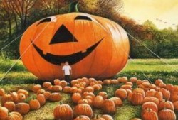 吃瓜小南第一集免费观看,揭秘神秘事件背后的真相