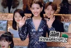 徐公子不喝酒爆料视频,背后真相与爆料视频深度解析